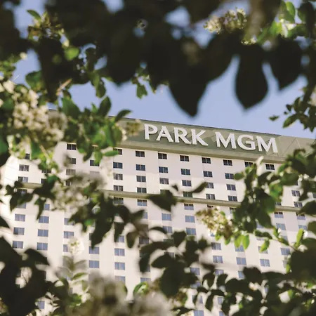 Park MGM Las Vegas-3